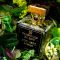 FRAGRANCE DU BOIS Old Green Intense (Oud Vert Intense)